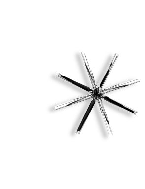 Decorative Star Icon